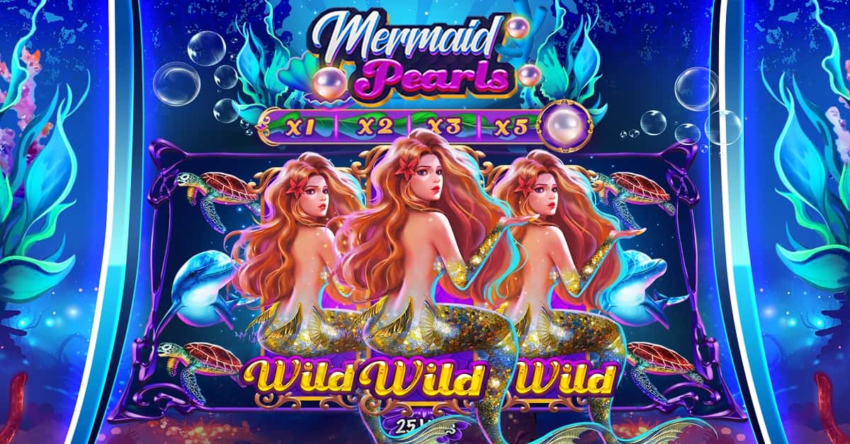 win444 8g bet cassino livre